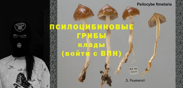 mdma Медвежьегорск