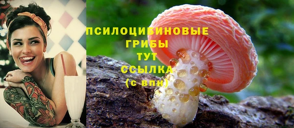 mdma Медвежьегорск